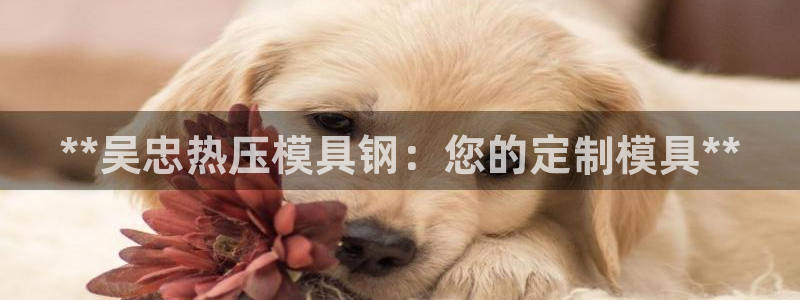 易倍纤价格：**吴忠热压模具钢：您的定制模具**