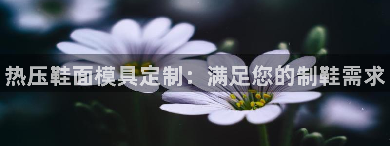易倍下载地址：热压鞋面模具定制：满足您的制鞋需求