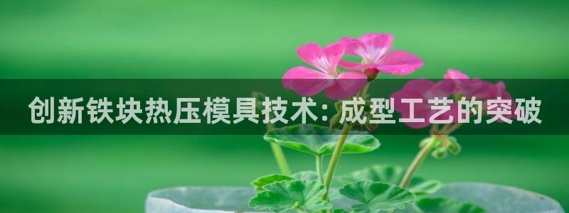 EMC易倍官方网址：创新铁块热压模具技术: 成型工艺的突
