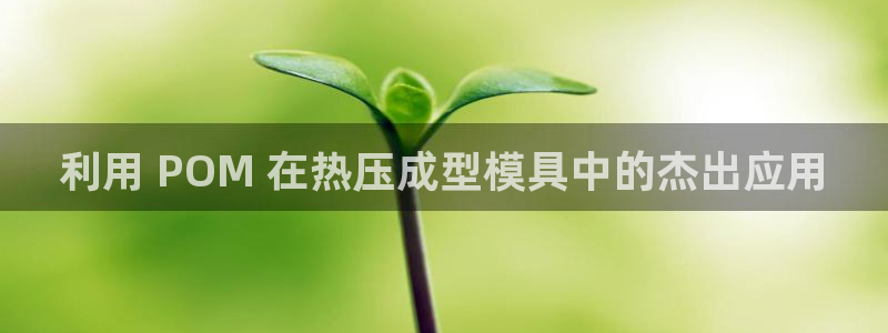 emc易倍：利用 POM 在热压成型模具中的杰出应用