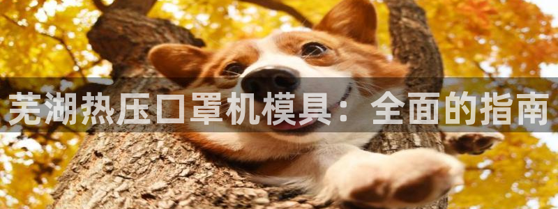 易倍纤代餐奶昔怎么样：芜湖热压口罩机模具：全面的指南