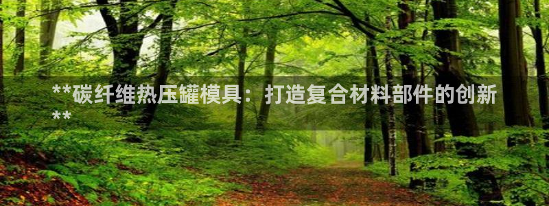 易倍纤多少钱：**碳纤维热压罐模具：打造复合材料部件的创