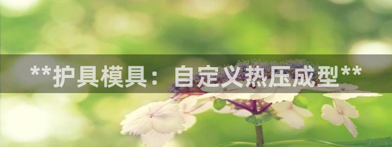 emc网页版：**护具模具：自定义热压成型**