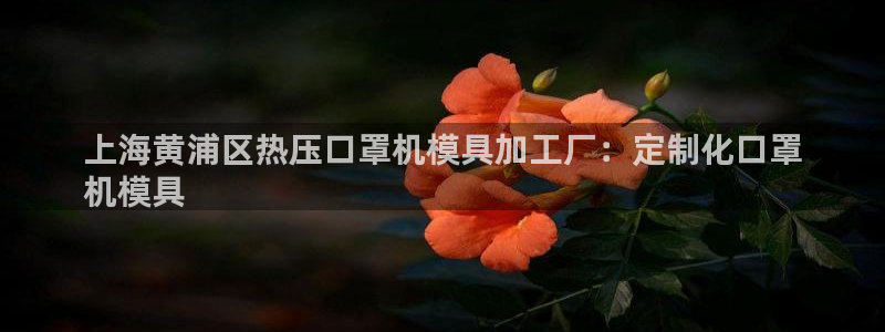 易倍纤代餐奶昔减肥效果怎么样：上海黄浦区热压口罩机模具加