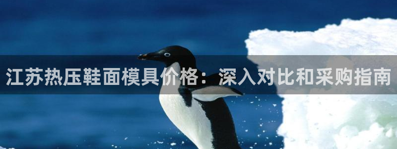 易倍下载地址：江苏热压鞋面模具价格：深入对比和采购指南