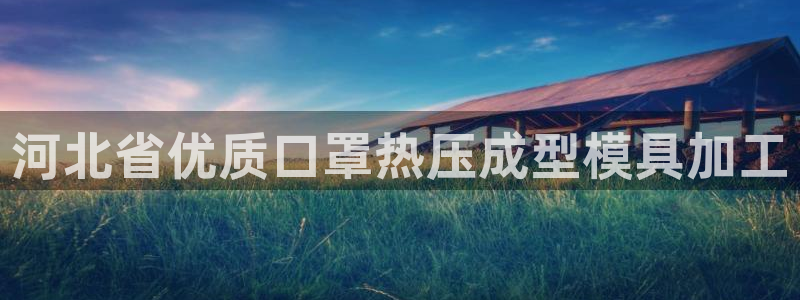 emc低频：河北省优质口罩热压成型模具加工