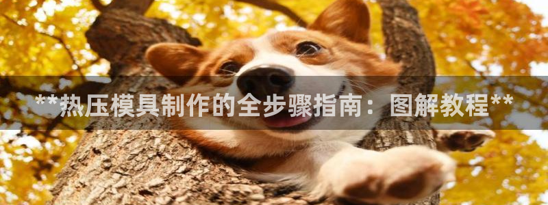 易倍申和易倍清的区别：**热压模具制作的全步骤指南：图解