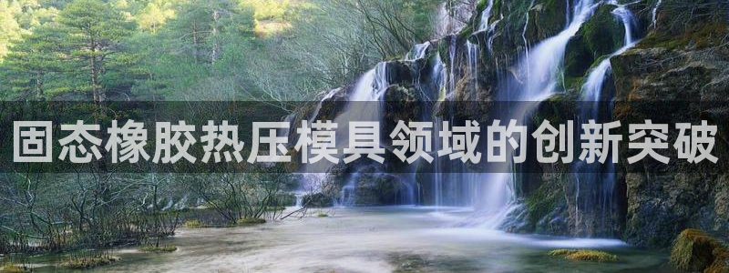 易倍达科技有限公司：固态橡胶热压模具领域的创新突破
