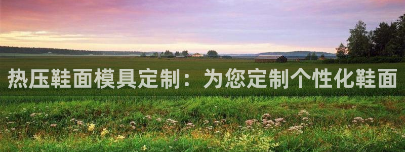 EMC易倍官网招聘：热压鞋面模具定制：为您定制个性化鞋面