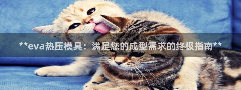 易倍单词登录网站：**eva热压模具：满足您的成型需求的