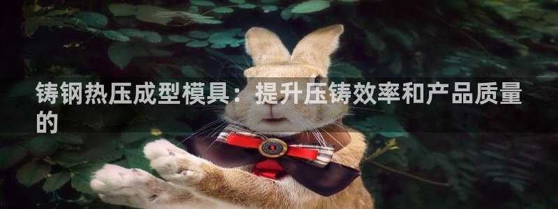 易倍网络技术有限公司是干嘛的：铸钢热压成型模具：提升压铸