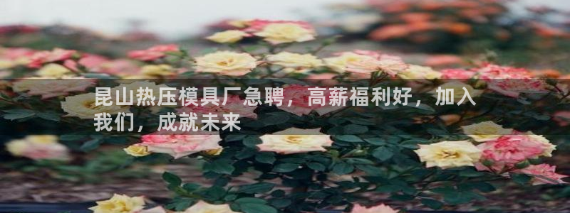 易倍网络技术有限公司招聘：昆山热压模具厂急聘，高薪福利好