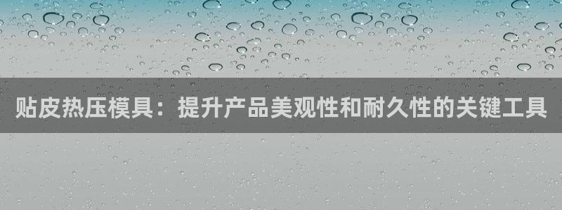 易倍申的包装规格：贴皮热压模具：提升产品美观性和耐久性的