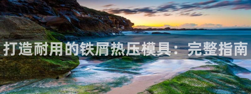 杭州易倍达上班怎么样：打造耐用的铁屑热压模具：完整指南