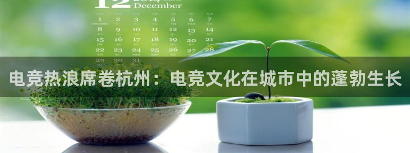威客电竞网页版入口：电竞热浪席卷杭州：电竞文化在城市中的蓬勃生长