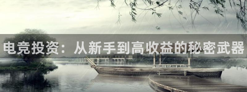 威客电竞·(中国)VKGAMING：电竞投资：从新手到高收益的秘密武器